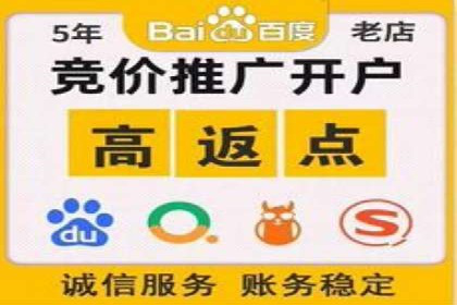 SEM主管实战案例：广告投放策略优化